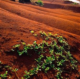 《霓虹深渊》Steam国区售价下调 恢复至涨价前58元