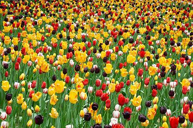 Steam Deck掌机获FSR支持 未来可应用于所有游戏